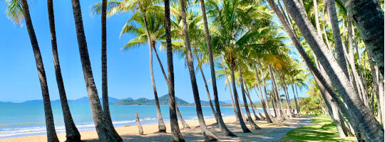 Palm Cove Beach